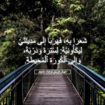 Picture 05 - أَعْمَالُ ٱلرُّسُلِ 14:6 AVD - شَعَرَا بِهِ، فَهَرَبَا - Bible Verse Picture