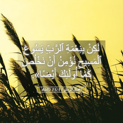 Picture 05 - أَعْمَالُ ٱلرُّسُلِ 15:11 AVD - لَكِنْ بِنِعْمَةِ - Bible Verse Picture