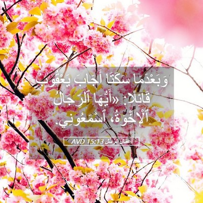 Picture 05 - أَعْمَالُ ٱلرُّسُلِ 15:13 AVD - وَبَعْدَمَا سَكَتَا - Bible Verse Picture
