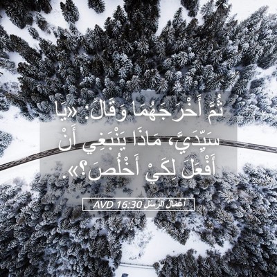 Picture 05 - أَعْمَالُ ٱلرُّسُلِ 16:30 AVD - ثُمَّ أَخْرَجَهُمَا - Bible Verse Picture