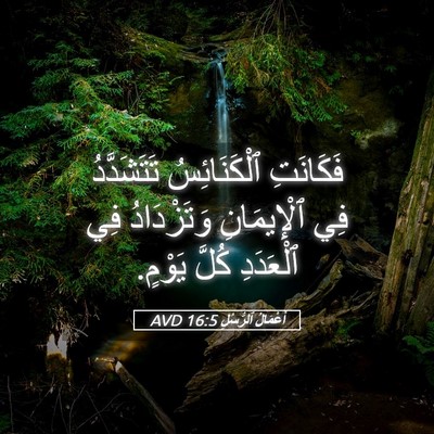 Picture 05 - أَعْمَالُ ٱلرُّسُلِ 16:5 AVD - فَكَانَتِ ٱلْكَنَائِسُ - Bible Verse Picture