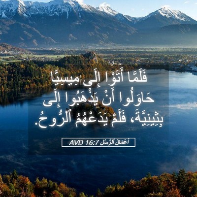 Picture 05 - أَعْمَالُ ٱلرُّسُلِ 16:7 AVD - فَلَمَّا أَتَوْا إِلَى - Bible Verse Picture