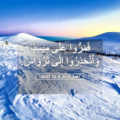 Picture 05 - أَعْمَالُ ٱلرُّسُلِ 16:8 AVD - فَمَرُّوا عَلَى مِيسِيَّا - Bible Verse Picture