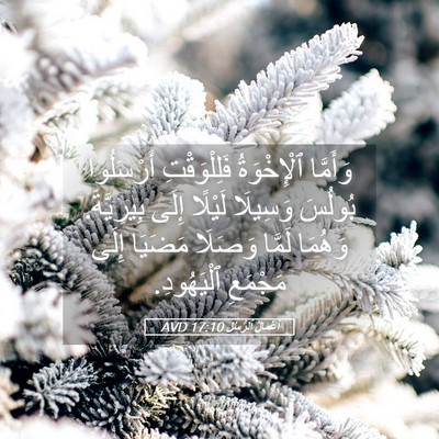 Picture 05 - أَعْمَالُ ٱلرُّسُلِ 17:10 AVD - وَأَمَّا ٱلْإِخْوَةُ - Bible Verse Picture