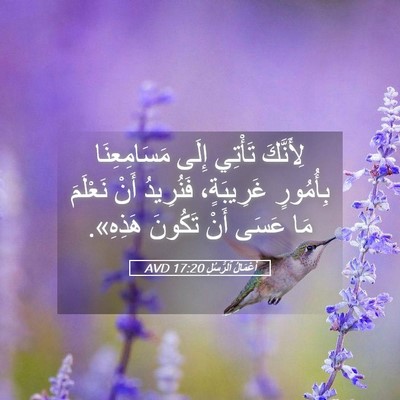 Picture 05 - أَعْمَالُ ٱلرُّسُلِ 17:20 AVD - لِأَنَّكَ تَأْتِي إِلَى - Bible Verse Picture