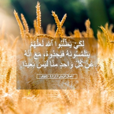 Picture 05 - أَعْمَالُ ٱلرُّسُلِ 17:27 AVD - لِكَيْ يَطْلُبُوا ٱللهَ - Bible Verse Picture