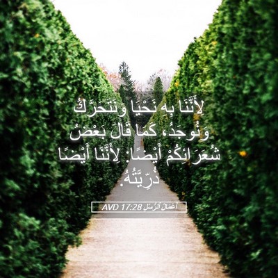 Picture 05 - أَعْمَالُ ٱلرُّسُلِ 17:28 AVD - لِأَنَّنَا بِهِ نَحْيَا - Bible Verse Picture