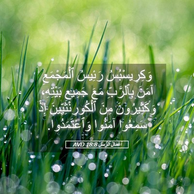 Picture 05 - أَعْمَالُ ٱلرُّسُلِ 18:8 AVD - وَكِرِيسْبُسُ رَئِيسُ - Bible Verse Picture