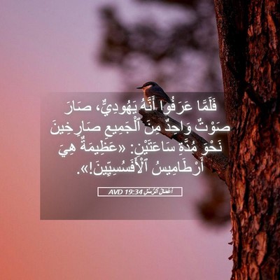 Picture 05 - أَعْمَالُ ٱلرُّسُلِ 19:34 AVD - فَلَمَّا عَرَفُوا أَنَّهُ - Bible Verse Picture