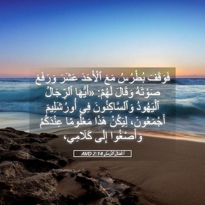 Picture 05 - أَعْمَالُ ٱلرُّسُلِ 2:14 AVD - فَوَقَفَ بُطْرُسُ مَعَ - Bible Verse Picture
