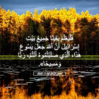 Picture 05 - أَعْمَالُ ٱلرُّسُلِ 2:36 AVD - فَلْيَعْلَمْ يَقِينًا - Bible Verse Picture