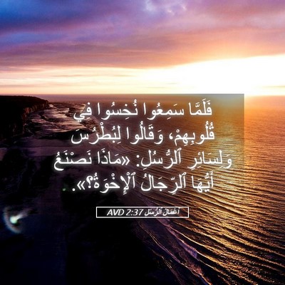 Picture 05 - أَعْمَالُ ٱلرُّسُلِ 2:37 AVD - فَلَمَّا سَمِعُوا - Bible Verse Picture