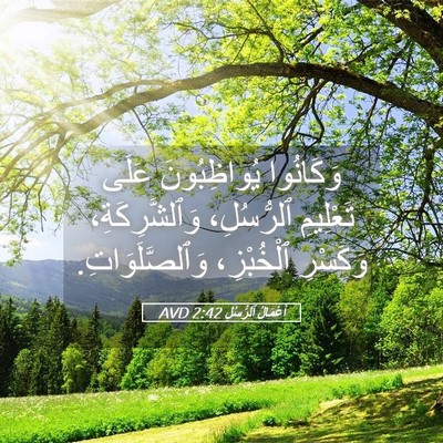Picture 05 - أَعْمَالُ ٱلرُّسُلِ 2:42 AVD - وَكَانُوا يُواظِبُونَ - Bible Verse Picture