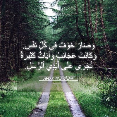 Picture 05 - أَعْمَالُ ٱلرُّسُلِ 2:43 AVD - وَصَارَ خَوْفٌ فِي كُلِّ - Bible Verse Picture