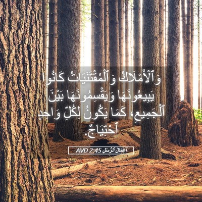 Picture 05 - أَعْمَالُ ٱلرُّسُلِ 2:45 AVD - وَٱلْأَمْلَاكُ - Bible Verse Picture