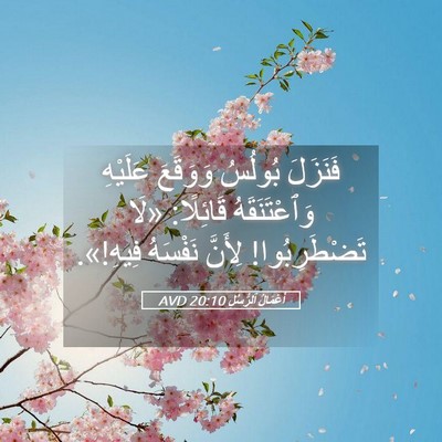 Picture 05 - أَعْمَالُ ٱلرُّسُلِ 20:10 AVD - فَنَزَلَ بُولُسُ وَوَقَعَ - Bible Verse Picture