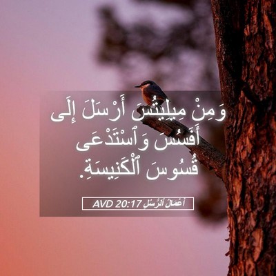 Picture 05 - أَعْمَالُ ٱلرُّسُلِ 20:17 AVD - وَمِنْ مِيلِيتُسَ - Bible Verse Picture
