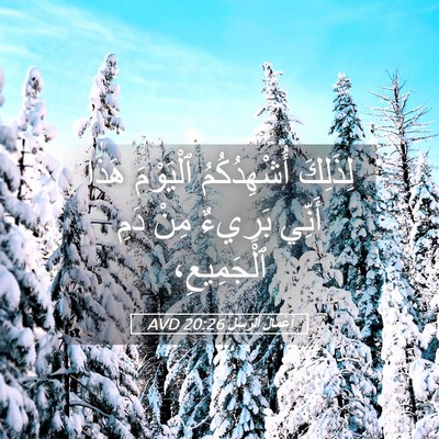 Picture 05 - أَعْمَالُ ٱلرُّسُلِ 20:26 AVD - لِذَلِكَ أُشْهِدُكُمُ - Bible Verse Picture
