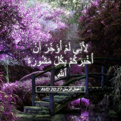 Picture 05 - أَعْمَالُ ٱلرُّسُلِ 20:27 AVD - لِأَنِّي لَمْ أُؤَخِّرْ - Bible Verse Picture