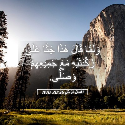 Picture 05 - أَعْمَالُ ٱلرُّسُلِ 20:36 AVD - وَلَمَّا قَالَ هَذَا جَثَا - Bible Verse Picture