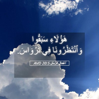 Picture 05 - أَعْمَالُ ٱلرُّسُلِ 20:5 AVD - هَؤُلَاءِ سَبَقُوا - Bible Verse Picture
