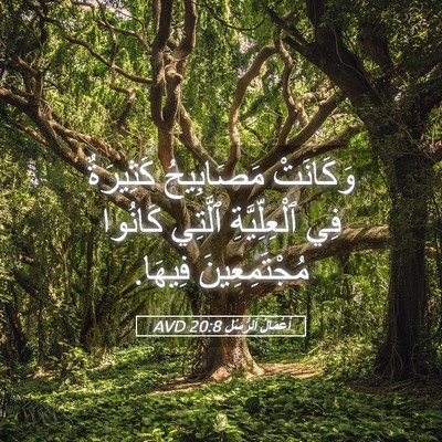 Picture 05 - أَعْمَالُ ٱلرُّسُلِ 20:8 AVD - وَكَانَتْ مَصَابِيحُ - Bible Verse Picture