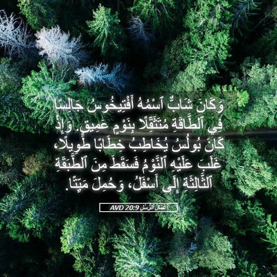 Picture 05 - أَعْمَالُ ٱلرُّسُلِ 20:9 AVD - وَكَانَ شَابٌّ ٱسْمُهُ - Bible Verse Picture