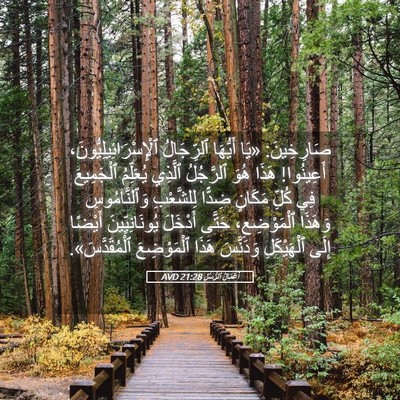 Picture 05 - أَعْمَالُ ٱلرُّسُلِ 21:28 AVD - صَارِخِينَ: «يَا أَيُّهَا - Bible Verse Picture