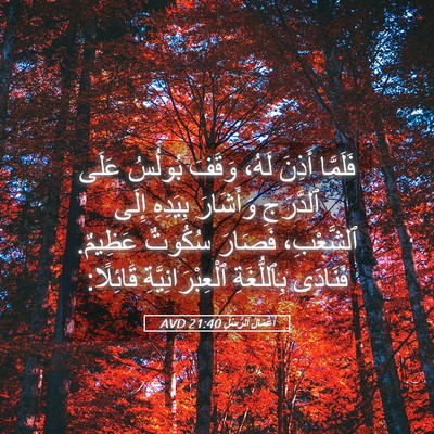 Picture 05 - أَعْمَالُ ٱلرُّسُلِ 21:40 AVD - فَلَمَّا أَذِنَ لَهُ، - Bible Verse Picture