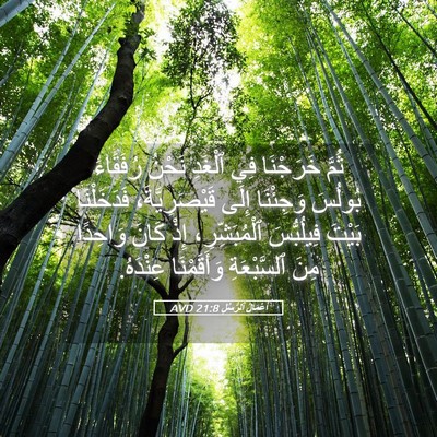 Picture 05 - أَعْمَالُ ٱلرُّسُلِ 21:8 AVD - ثُمَّ خَرَجْنَا فِي - Bible Verse Picture