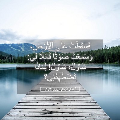 Picture 05 - أَعْمَالُ ٱلرُّسُلِ 22:7 AVD - فَسَقَطْتُ عَلَى - Bible Verse Picture