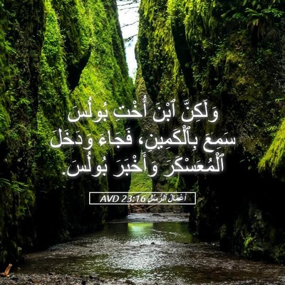 Picture 05 - أَعْمَالُ ٱلرُّسُلِ 23:16 AVD - وَلَكِنَّ ٱبْنَ أُخْتِ - Bible Verse Picture
