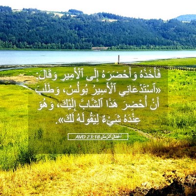 Picture 05 - أَعْمَالُ ٱلرُّسُلِ 23:18 AVD - فَأَخَذَهُ وَأَحْضَرَهُ - Bible Verse Picture