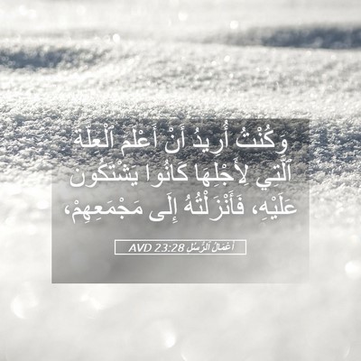 Picture 05 - أَعْمَالُ ٱلرُّسُلِ 23:28 AVD - وَكُنْتُ أُرِيدُ أَنْ - Bible Verse Picture