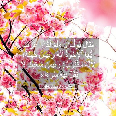 Picture 05 - أَعْمَالُ ٱلرُّسُلِ 23:5 AVD - فَقَالَ بُولُسُ: «لَمْ - Bible Verse Picture