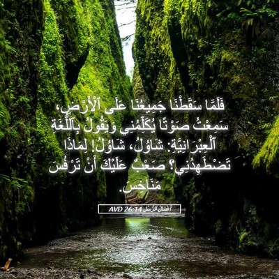 Picture 05 - أَعْمَالُ ٱلرُّسُلِ 26:14 AVD - فَلَمَّا سَقَطْنَا - Bible Verse Picture
