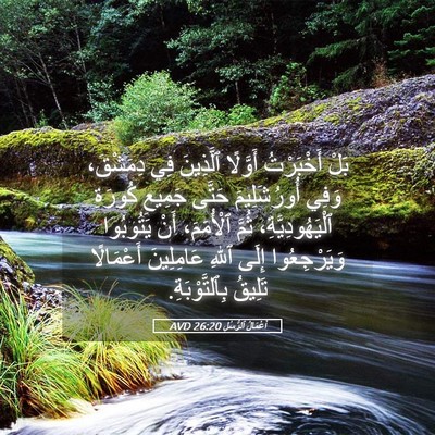 Picture 05 - أَعْمَالُ ٱلرُّسُلِ 26:20 AVD - بَلْ أَخْبَرْتُ أَوَّلًا - Bible Verse Picture