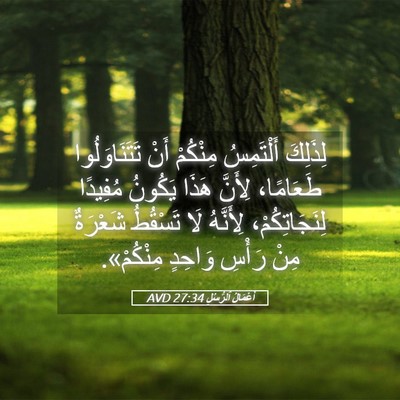 Picture 05 - أَعْمَالُ ٱلرُّسُلِ 27:34 AVD - لِذَلِكَ أَلْتَمِسُ - Bible Verse Picture