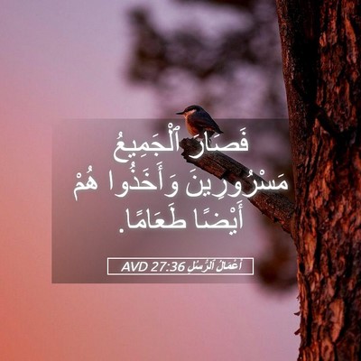 Picture 05 - أَعْمَالُ ٱلرُّسُلِ 27:36 AVD - فَصَارَ ٱلْجَمِيعُ - Bible Verse Picture