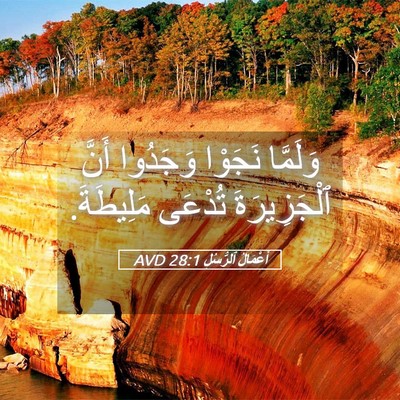 Picture 05 - أَعْمَالُ ٱلرُّسُلِ 28:1 AVD - وَلَمَّا نَجَوْا وَجَدُوا - Bible Verse Picture