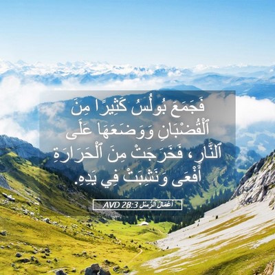 Picture 05 - أَعْمَالُ ٱلرُّسُلِ 28:3 AVD - فَجَمَعَ بُولُسُ كَثِيرًا - Bible Verse Picture