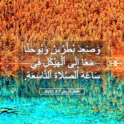 Picture 05 - أَعْمَالُ ٱلرُّسُلِ 3:1 AVD - وَصَعِدَ بُطْرُسُ - Bible Verse Picture