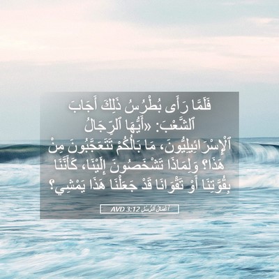 Picture 05 - أَعْمَالُ ٱلرُّسُلِ 3:12 AVD - فَلَمَّا رَأَى بُطْرُسُ - Bible Verse Picture