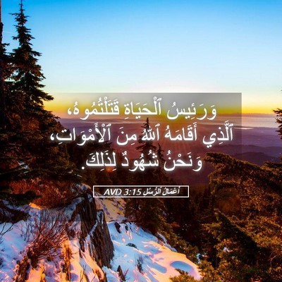 Picture 05 - أَعْمَالُ ٱلرُّسُلِ 3:15 AVD - وَرَئِيسُ ٱلْحَيَاةِ - Bible Verse Picture