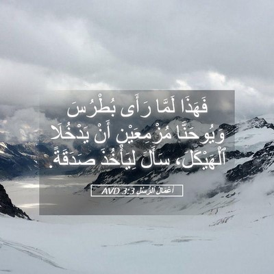 Picture 05 - أَعْمَالُ ٱلرُّسُلِ 3:3 AVD - فَهَذَا لَمَّا رَأَى - Bible Verse Picture