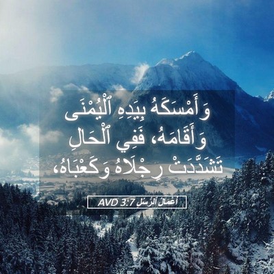 Picture 05 - أَعْمَالُ ٱلرُّسُلِ 3:7 AVD - وَأَمْسَكَهُ بِيَدِهِ - Bible Verse Picture