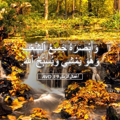 Picture 05 - أَعْمَالُ ٱلرُّسُلِ 3:9 AVD - وَأَبْصَرَهُ جَمِيعُ - Bible Verse Picture