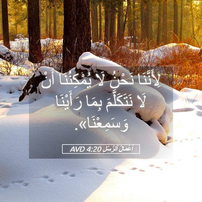 Picture 05 - أَعْمَالُ ٱلرُّسُلِ 4:20 AVD - لِأَنَّنَا نَحْنُ لَا - Bible Verse Picture