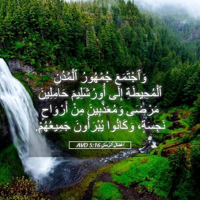 Picture 05 - أَعْمَالُ ٱلرُّسُلِ 5:16 AVD - وَٱجْتَمَعَ جُمْهُورُ - Bible Verse Picture