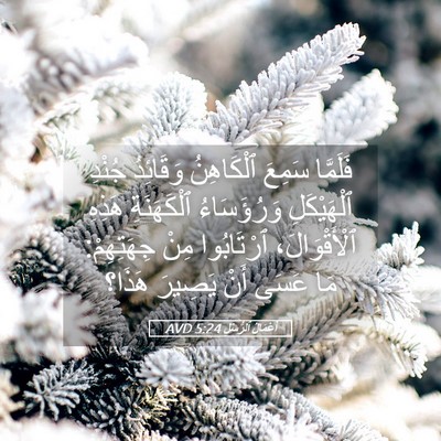 Picture 05 - أَعْمَالُ ٱلرُّسُلِ 5:24 AVD - فَلَمَّا سَمِعَ - Bible Verse Picture
